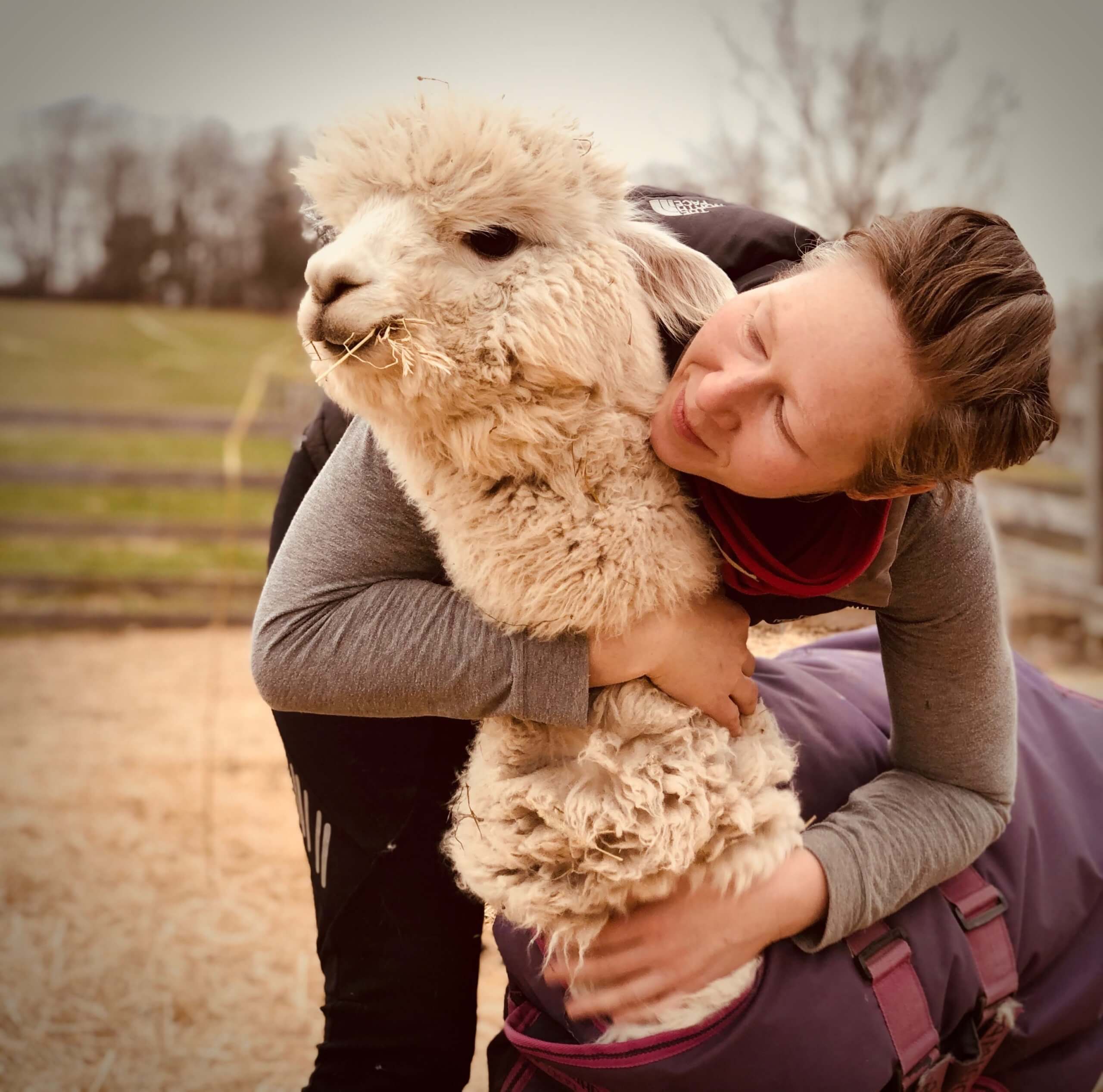 Having A Stressful Week? Try Some Alpaca Therapy
