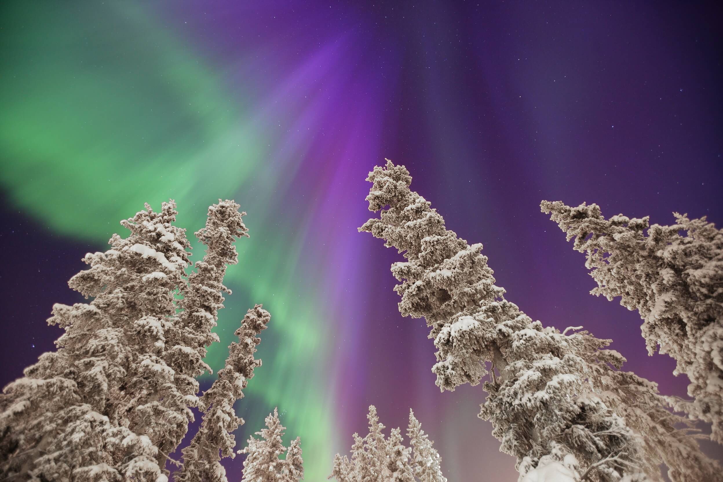 5 Incredible Reasons To Visit The Yukon This Winter
