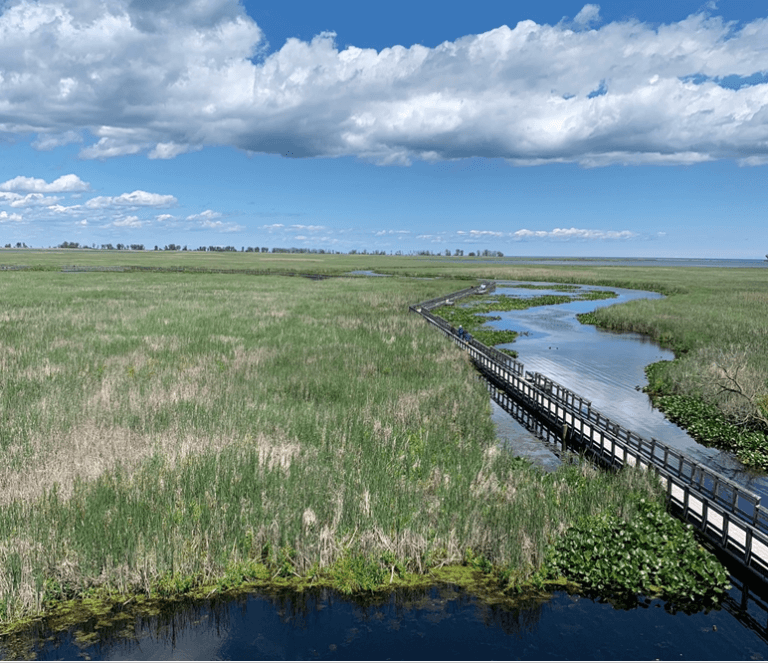 Ways To Experience Ontario's Spring Bird Migration Landsby