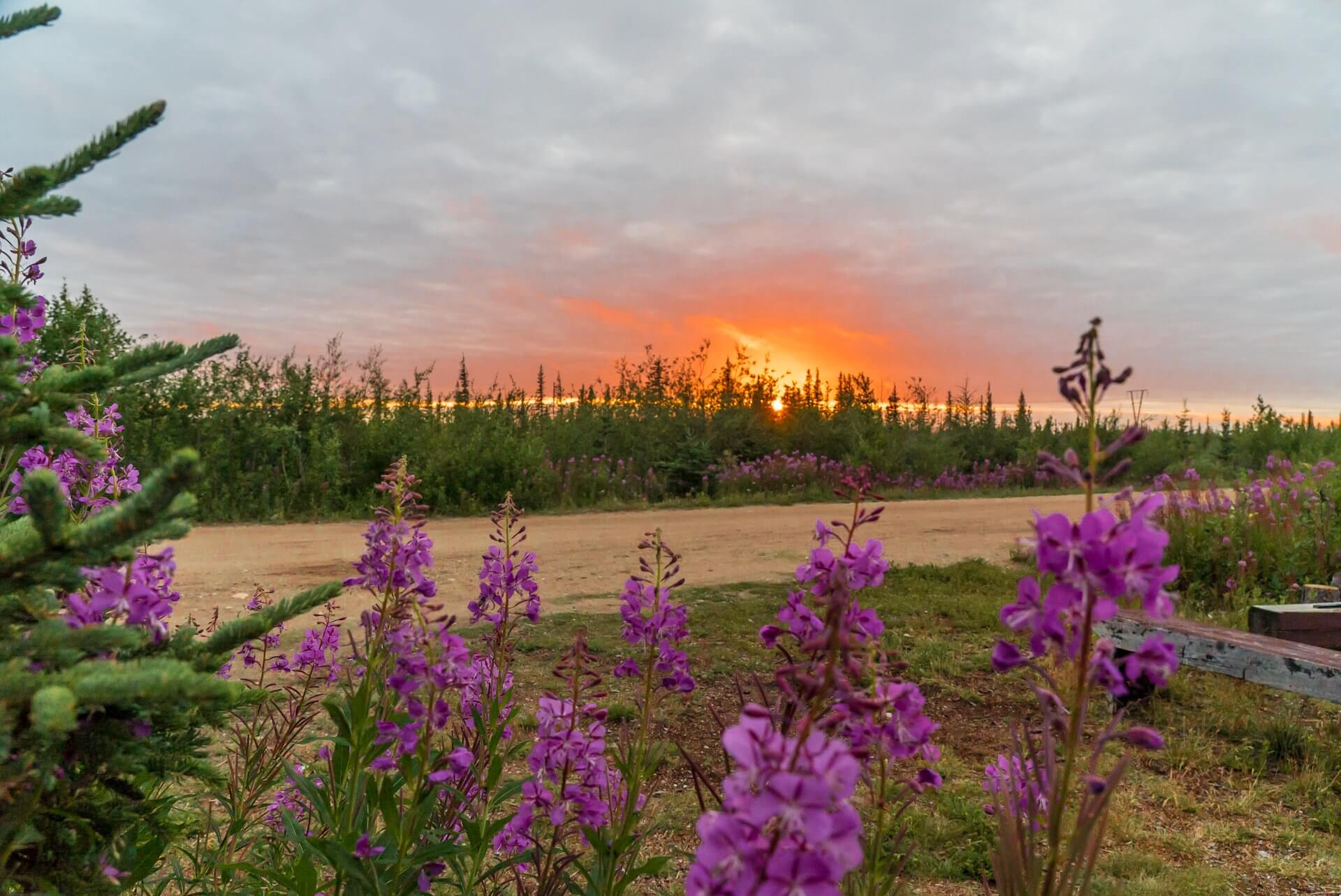 Why August Is A Magical Month in Churchill, Manitoba