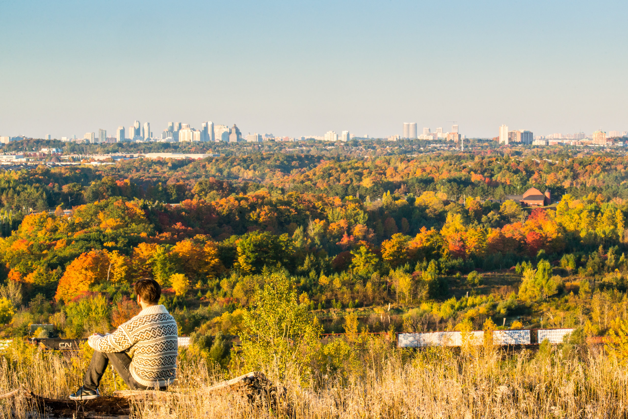 Oasis In The City: A Look At Toronto’s Rouge Park