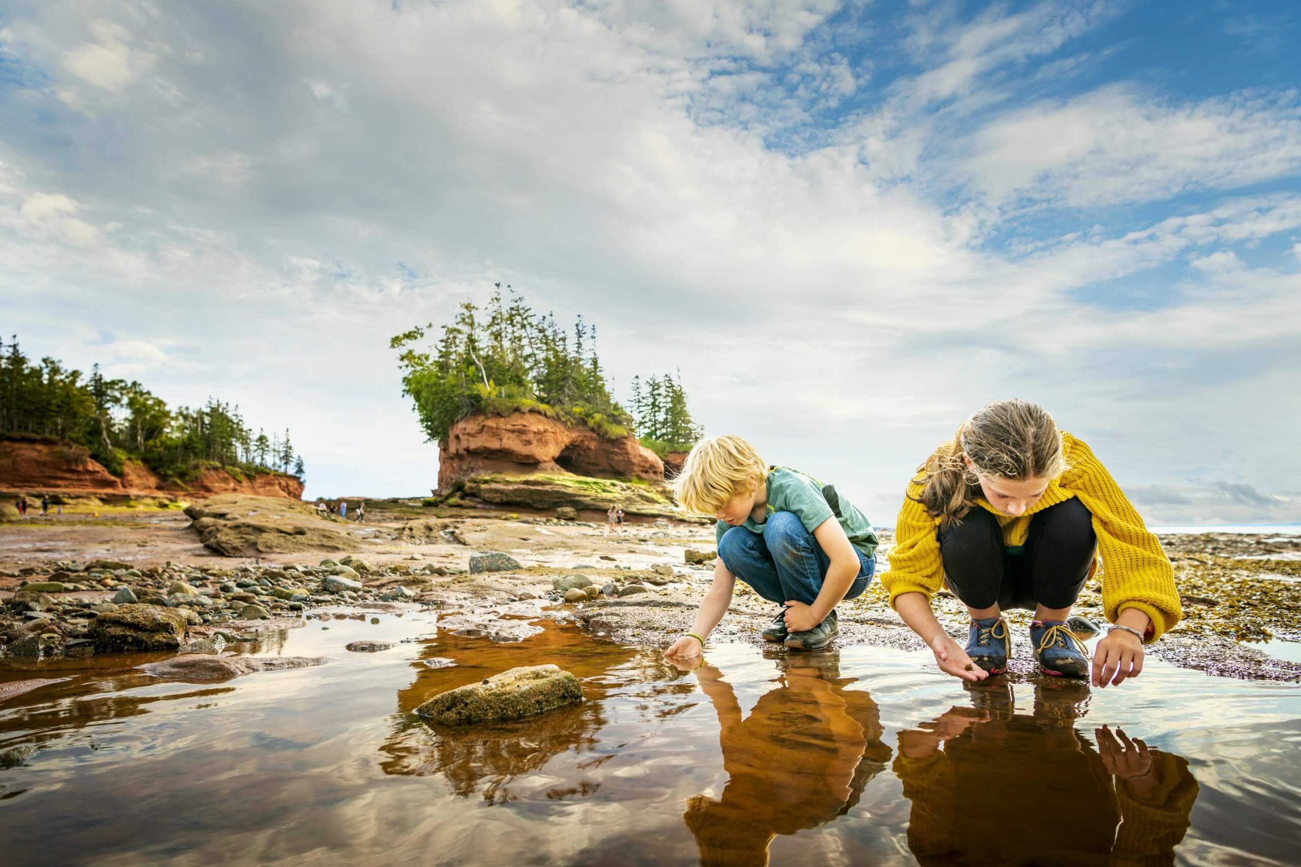 Discovering Wonders in the Bay of Fundy - Landsby