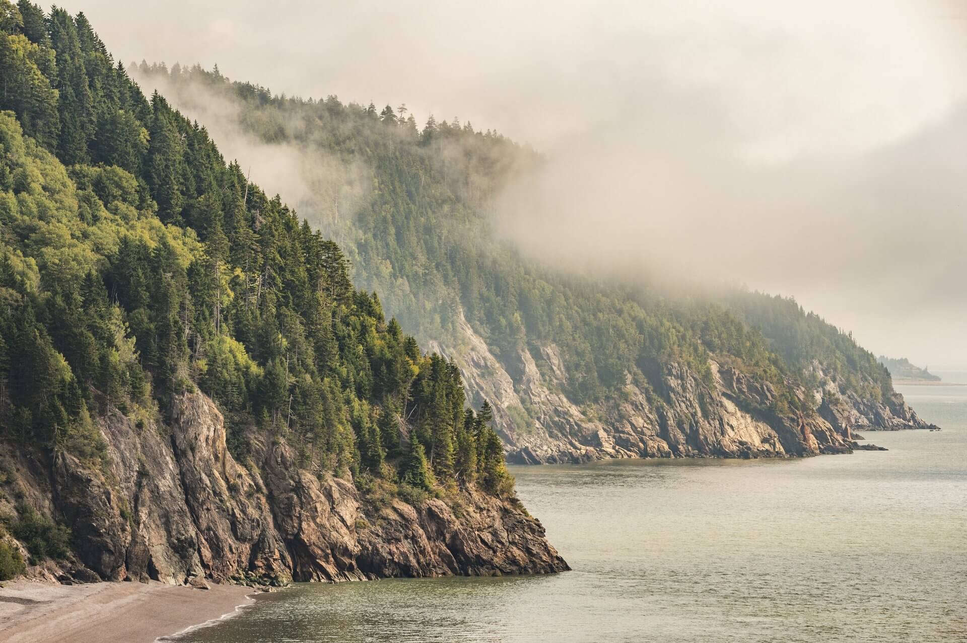 Caves and coastal features at low tide on the Bay of Fundy, near