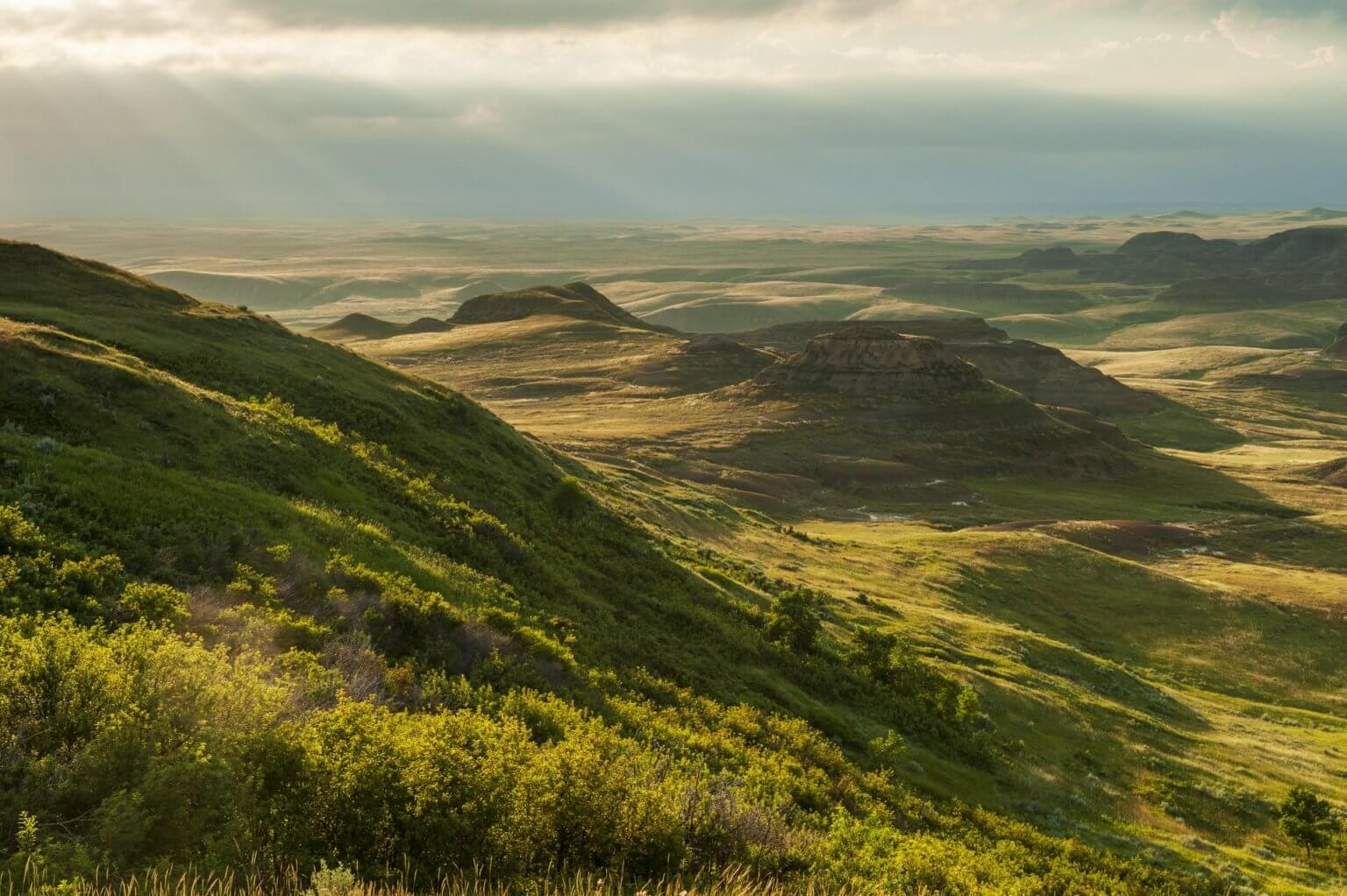 The Beauty Of Grasslands National Park - Landsby