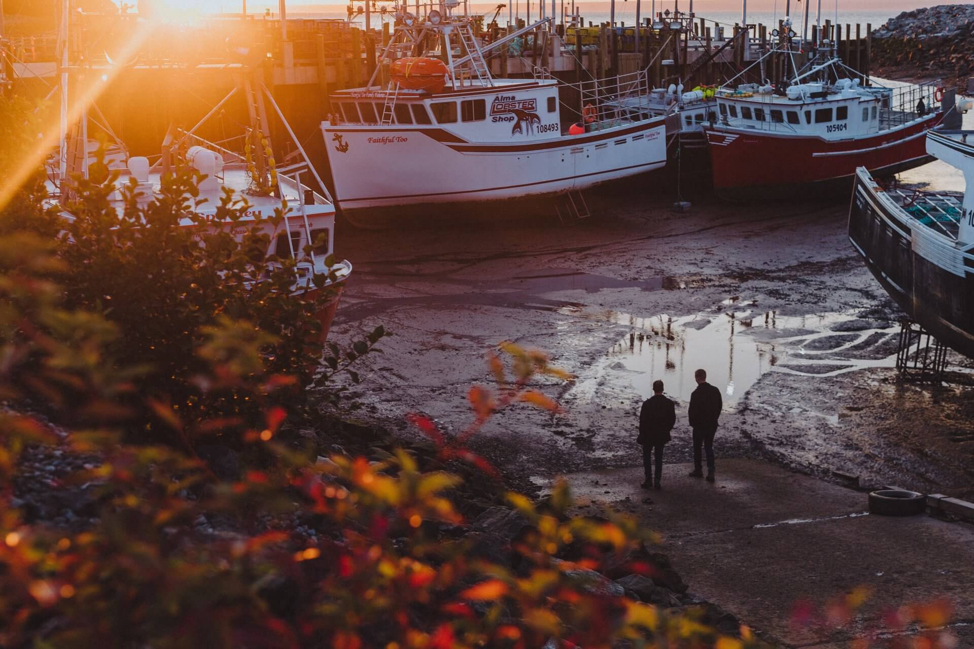 Discovering Wonders in the Bay of Fundy - Landsby