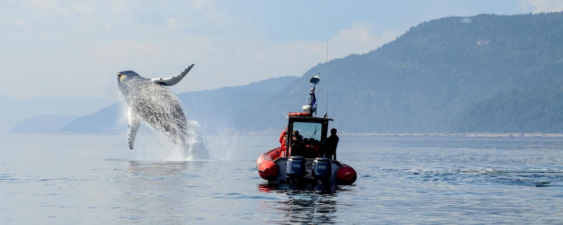 Quebec: Wilderness & Whales