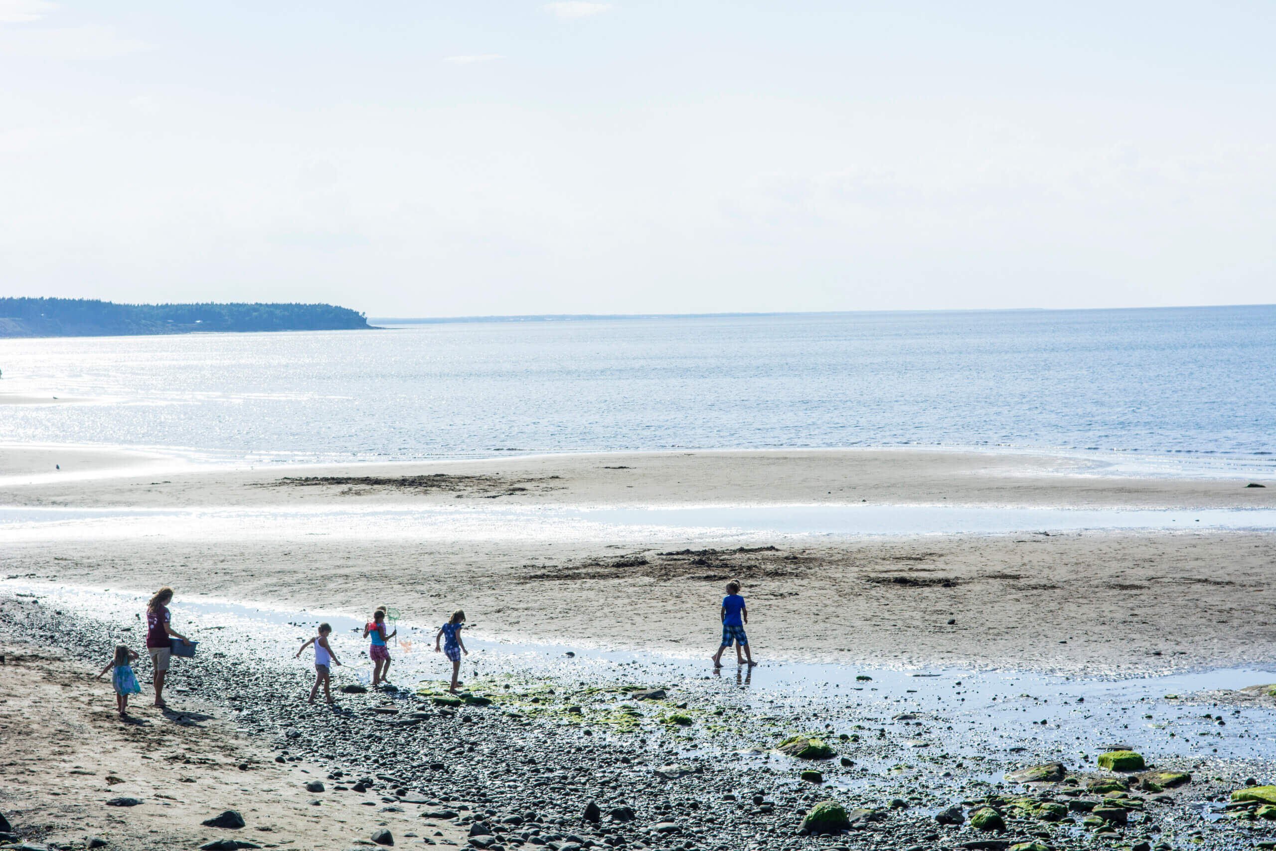 Discovering Wonders in the Bay of Fundy - Landsby