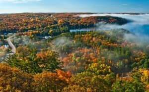 Fall Road Trips in Ontario: Journeys Rooted in Local Experiences cover