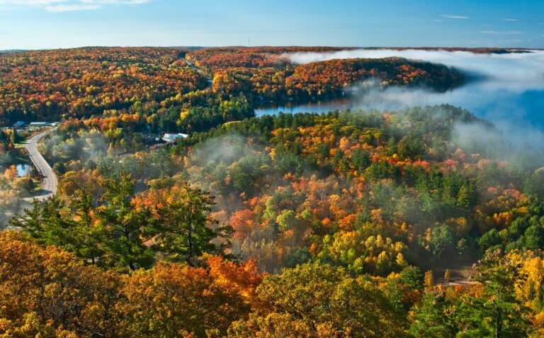 Fall Road Trips in Ontario: Journeys Rooted in Local Experiences cover