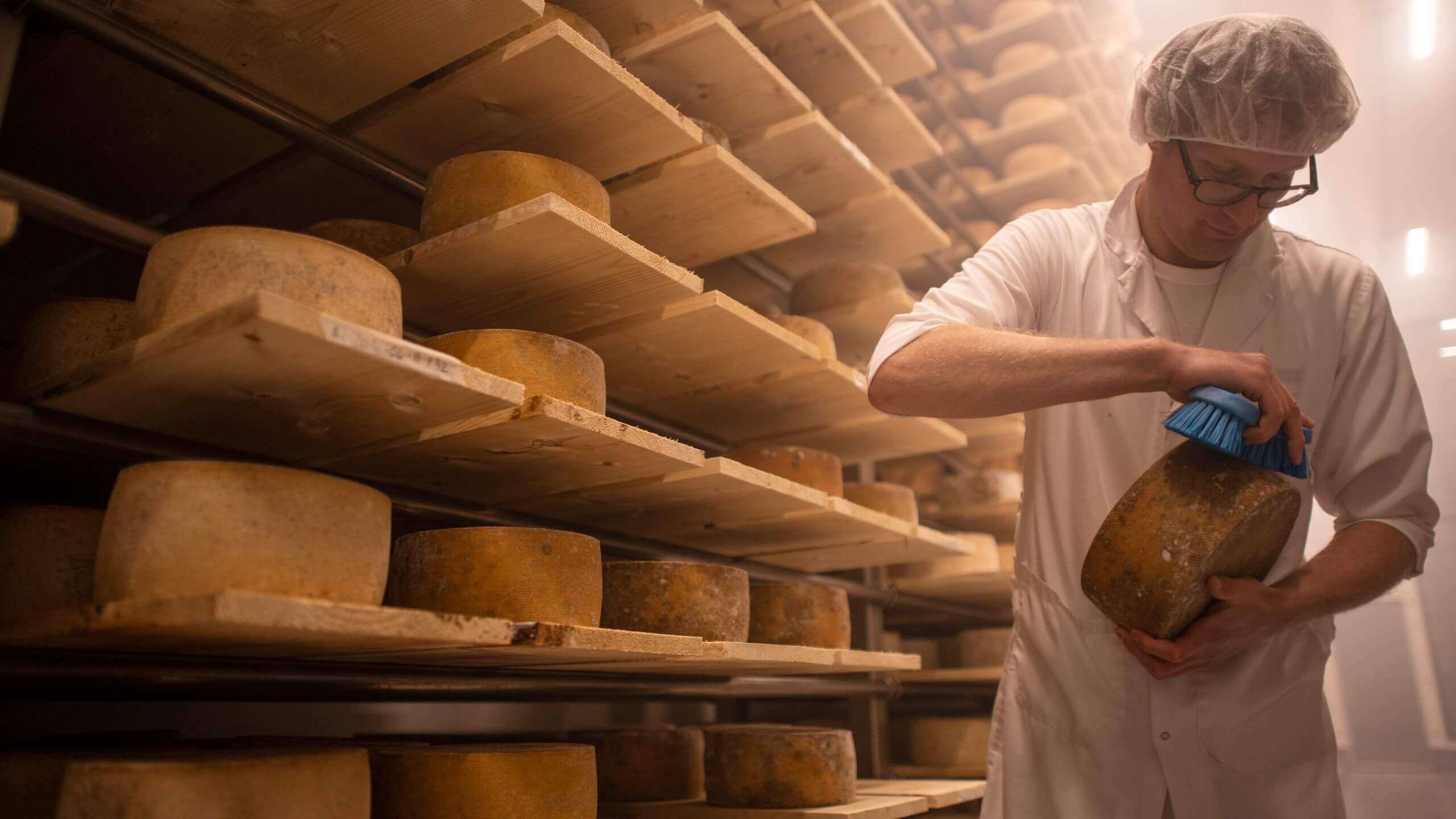 The Culture of Cheese