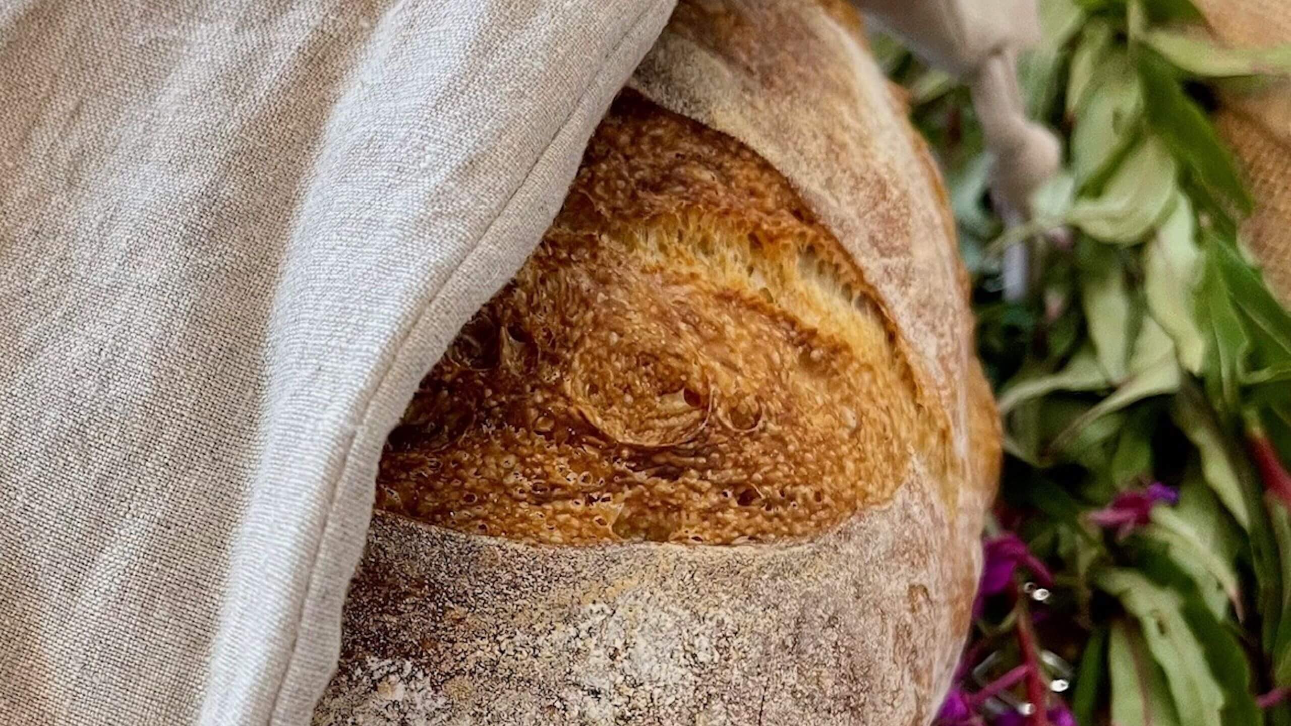 From Gold Rush to Gourmet
