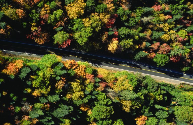 Fall Road Trip in the Laurentians: Scenic Routes Just North of Montréal cover
