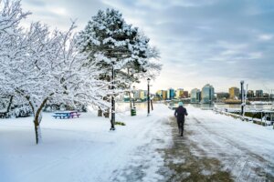 From Rails to Lobster Rolls: A Winter Foodie Escape to Nova Scotia by Train cover