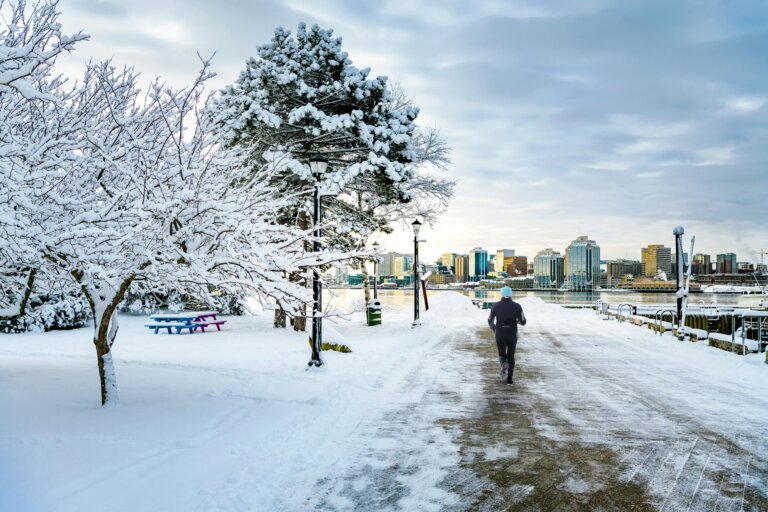 From Rails to Lobster Rolls: A Winter Foodie Escape to Nova Scotia by Train cover