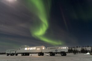 From Urban Plates in Winnipeg to Wilderness Flavours in Churchill cover