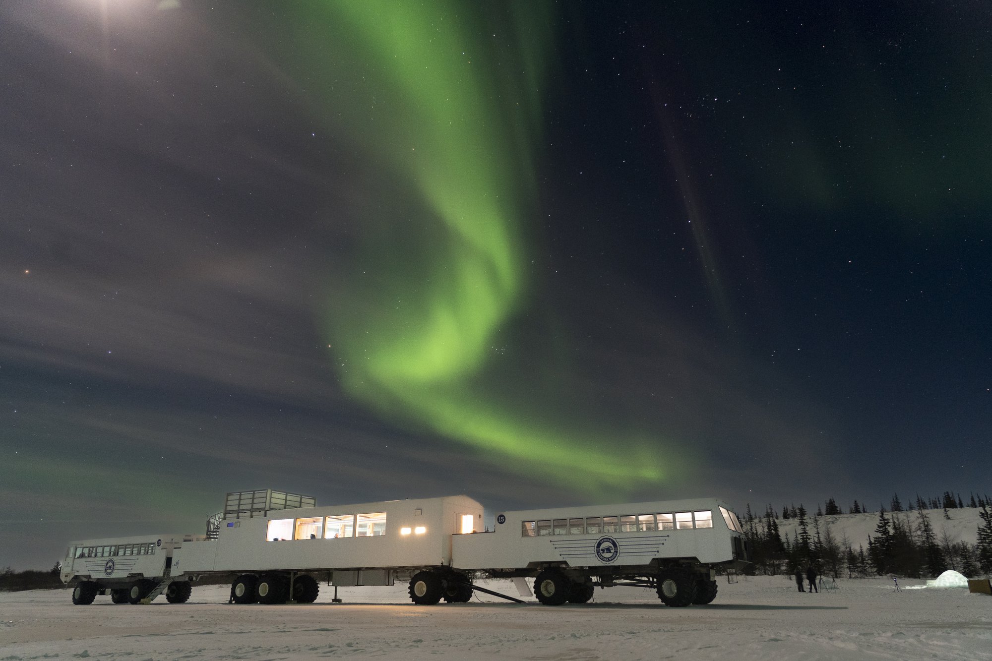 From Urban Plates in Winnipeg to Wilderness Flavours in Churchill