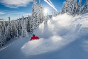 Snowboarder carves in champagne powder with a cloud of light snow behind them