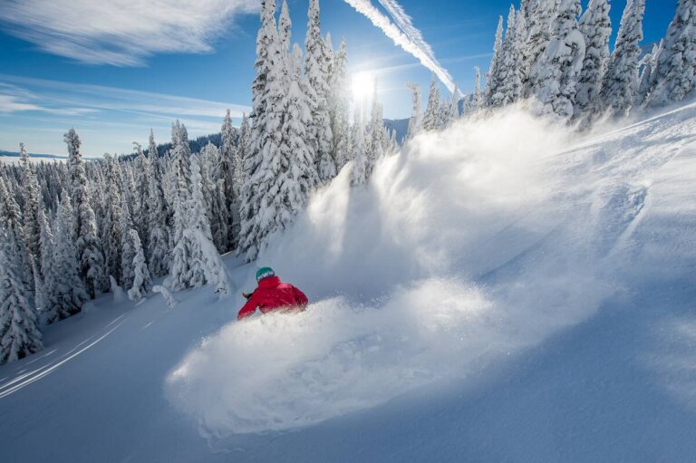 Snowboarder carves in champagne powder with a cloud of light snow behind them