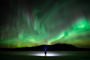Whitehorse winter activity: A silhouetted figure stares up at the northern lights in Kluane National Park and Reserve, Yukon.