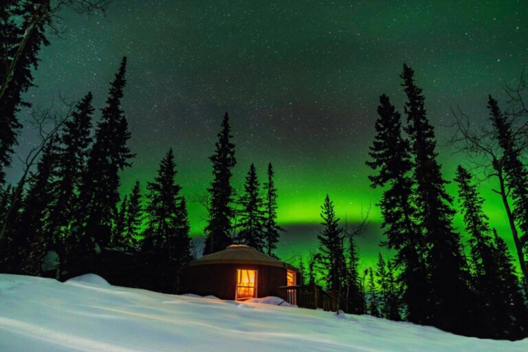 What Type of Northern Lights Traveller Are You? cover