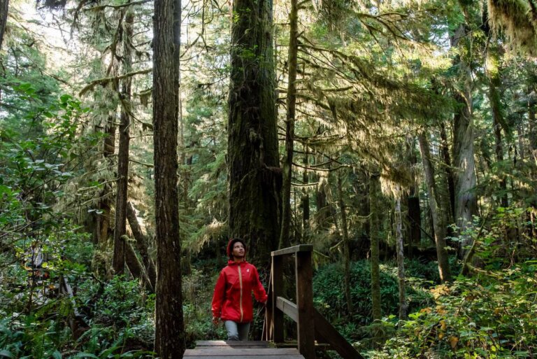 ​Landsby Announced as Finalist for the 2025 Regenerative Climate Award cover