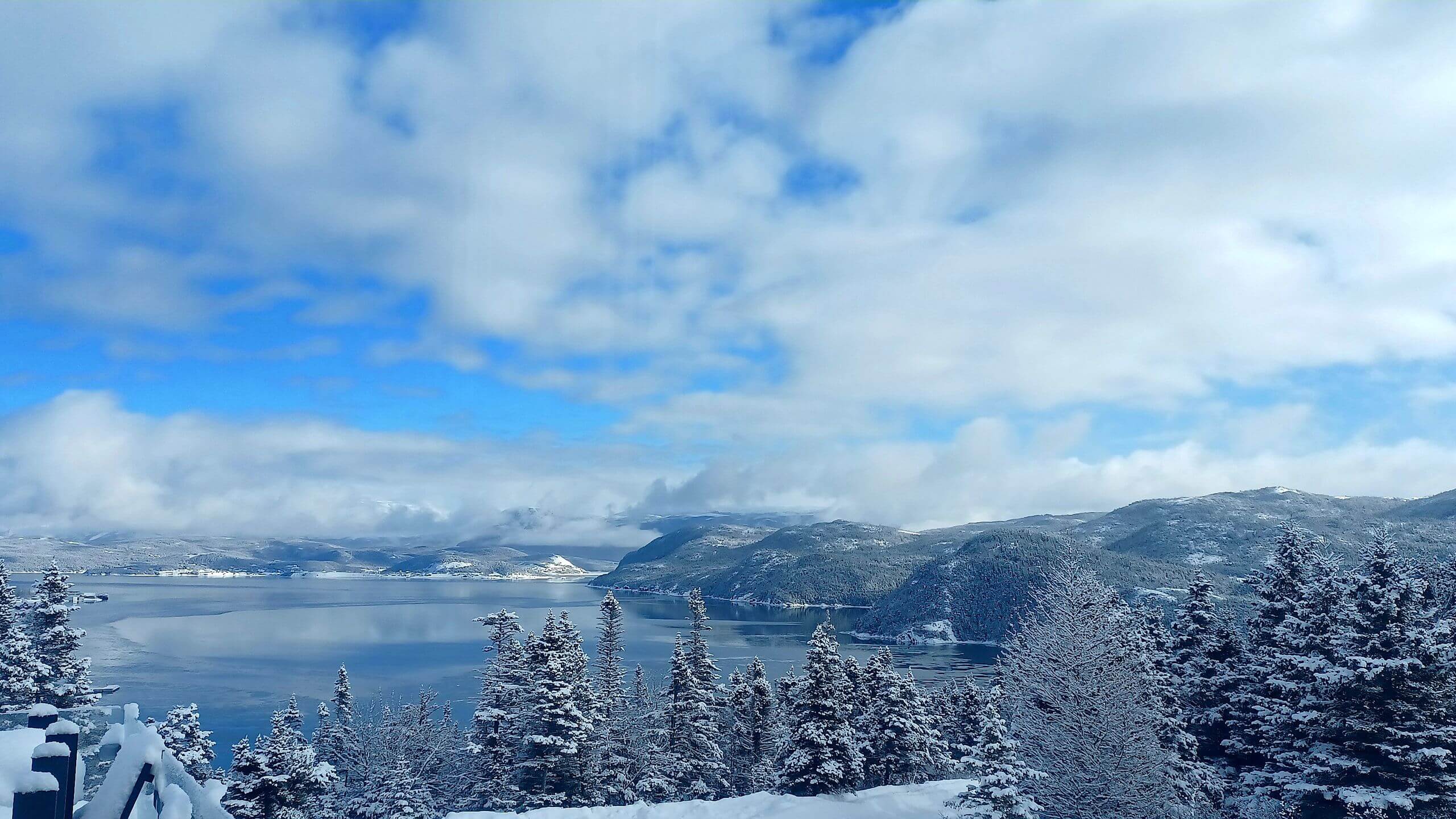 Newfoundland’s Elemental Winter