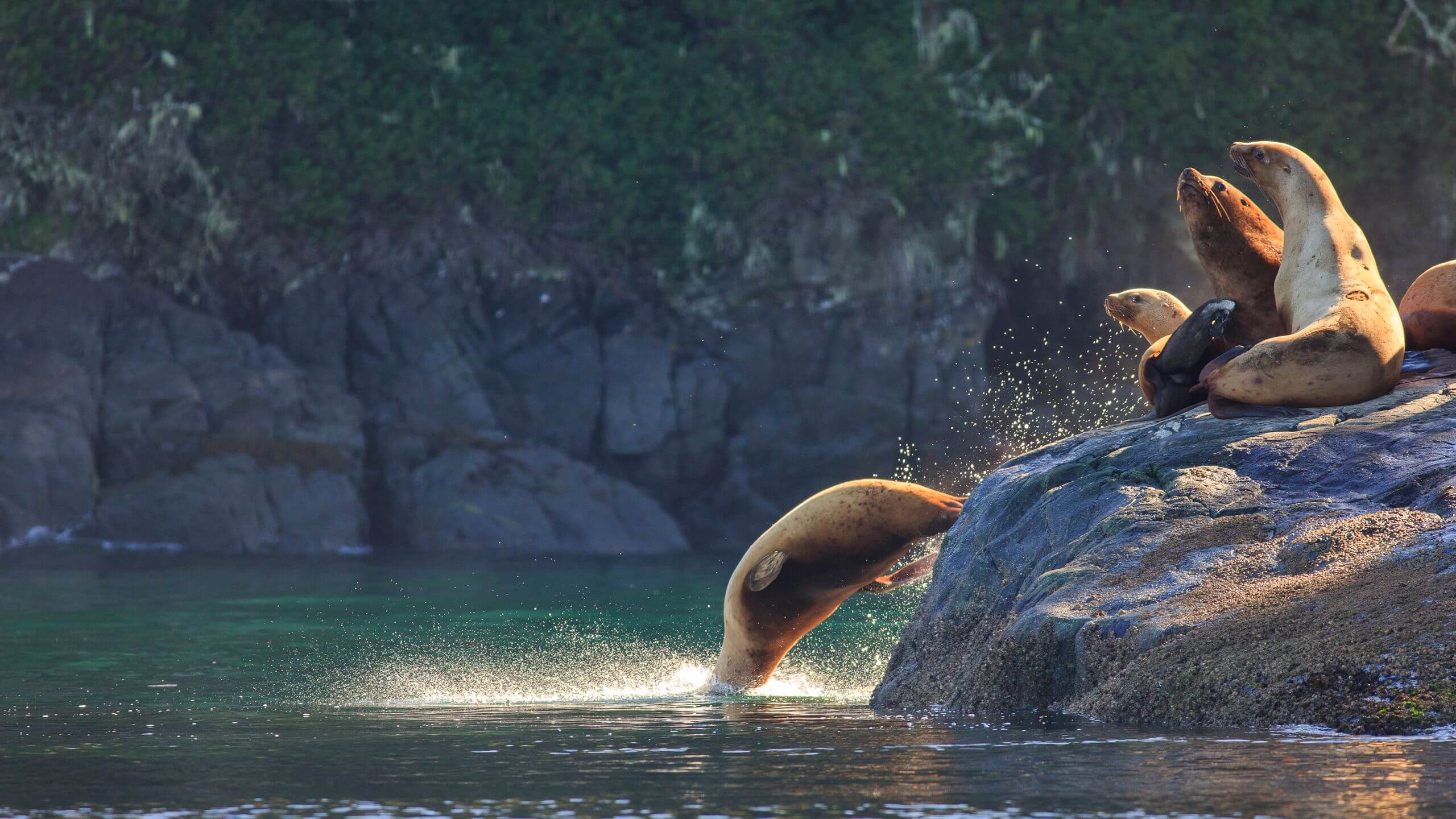 Vancouver Island: The Road Less Travelled
