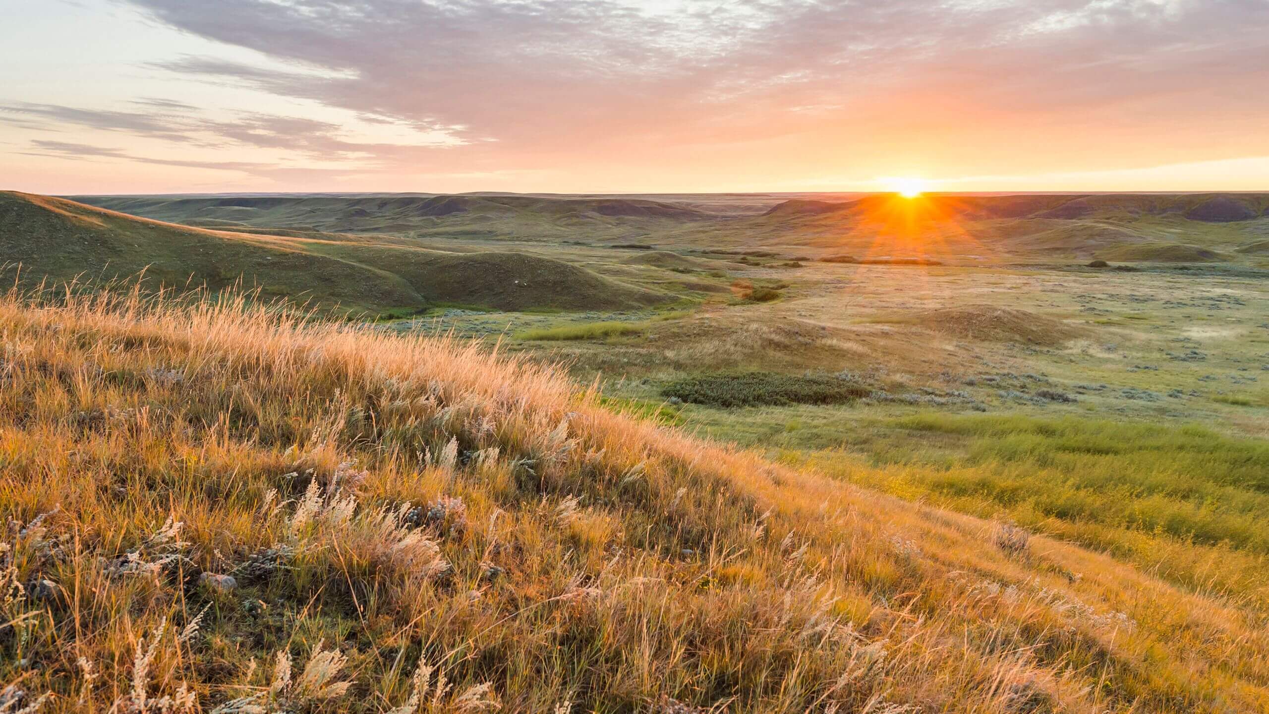 Saskatchewan’s Wide Open Spaces
