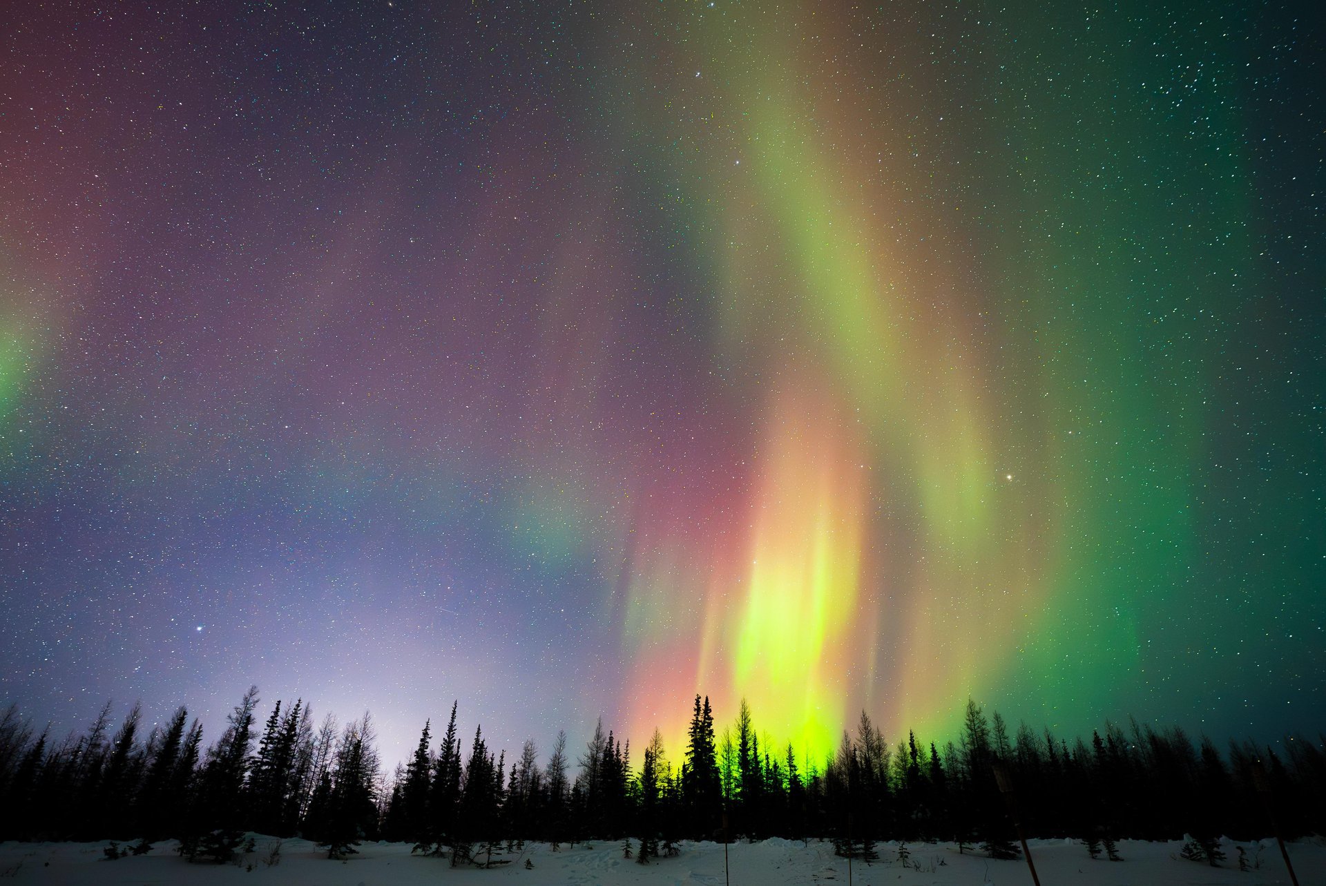 What Makes An Ethical Northern Lights Trip? How to Travel Thoughtfully in Churchill