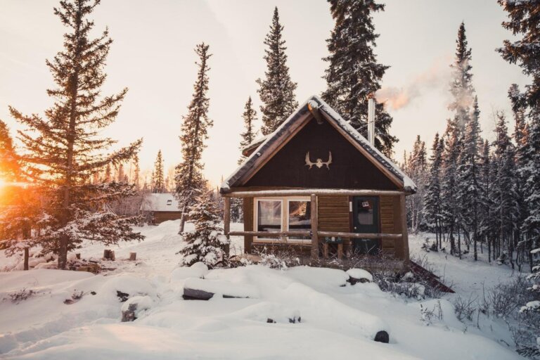 digital detox in the woods