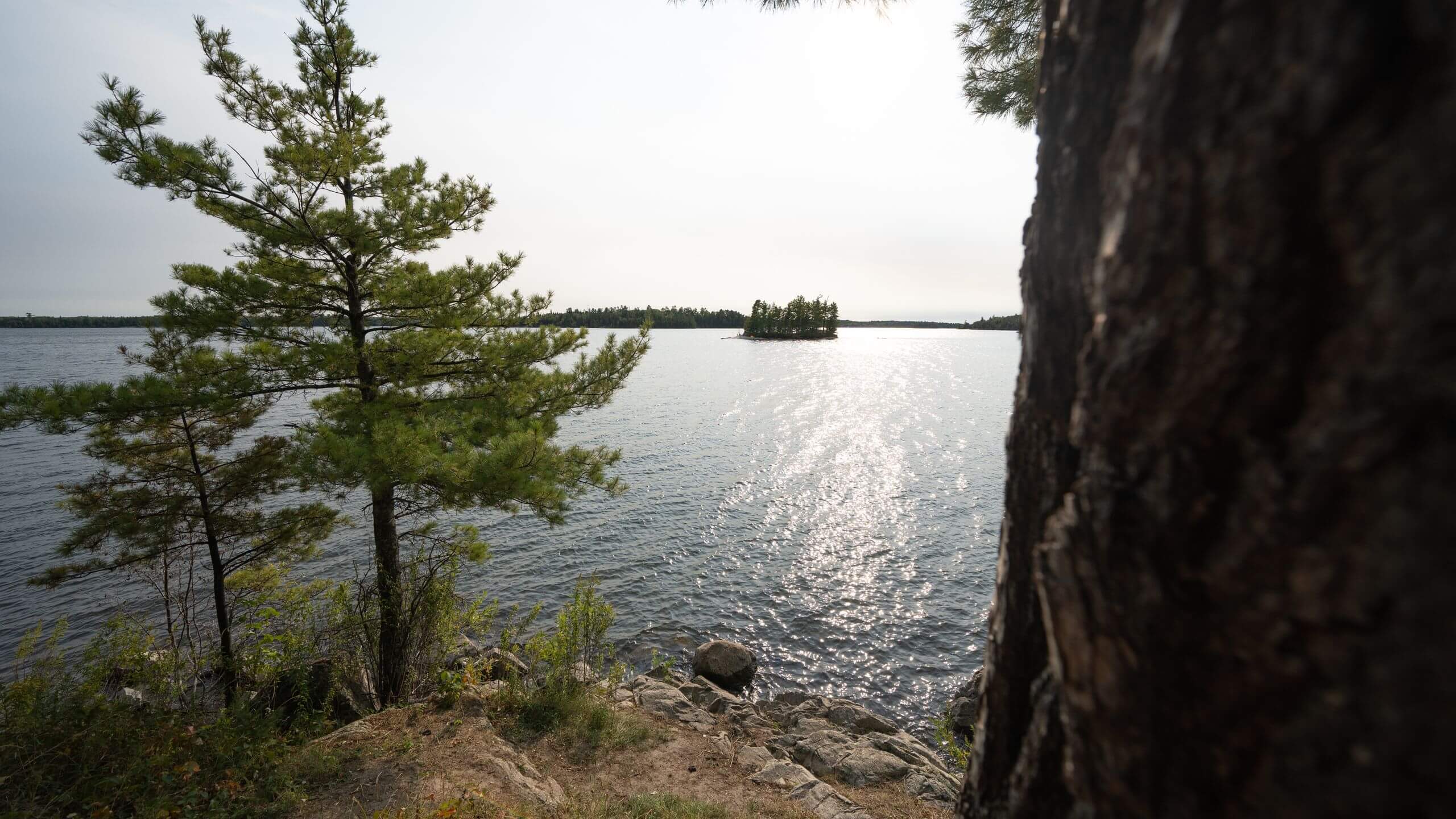 The Quiet Giant of Cottage Country