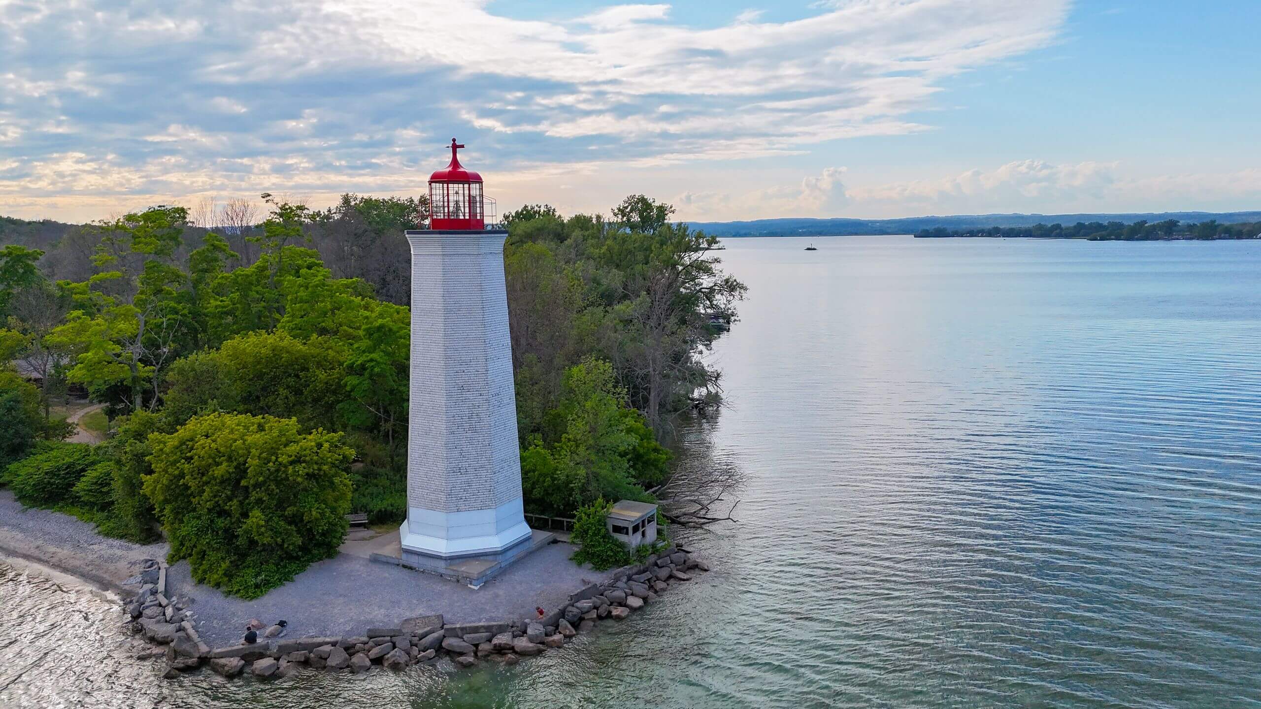 Rooted Along the Bay