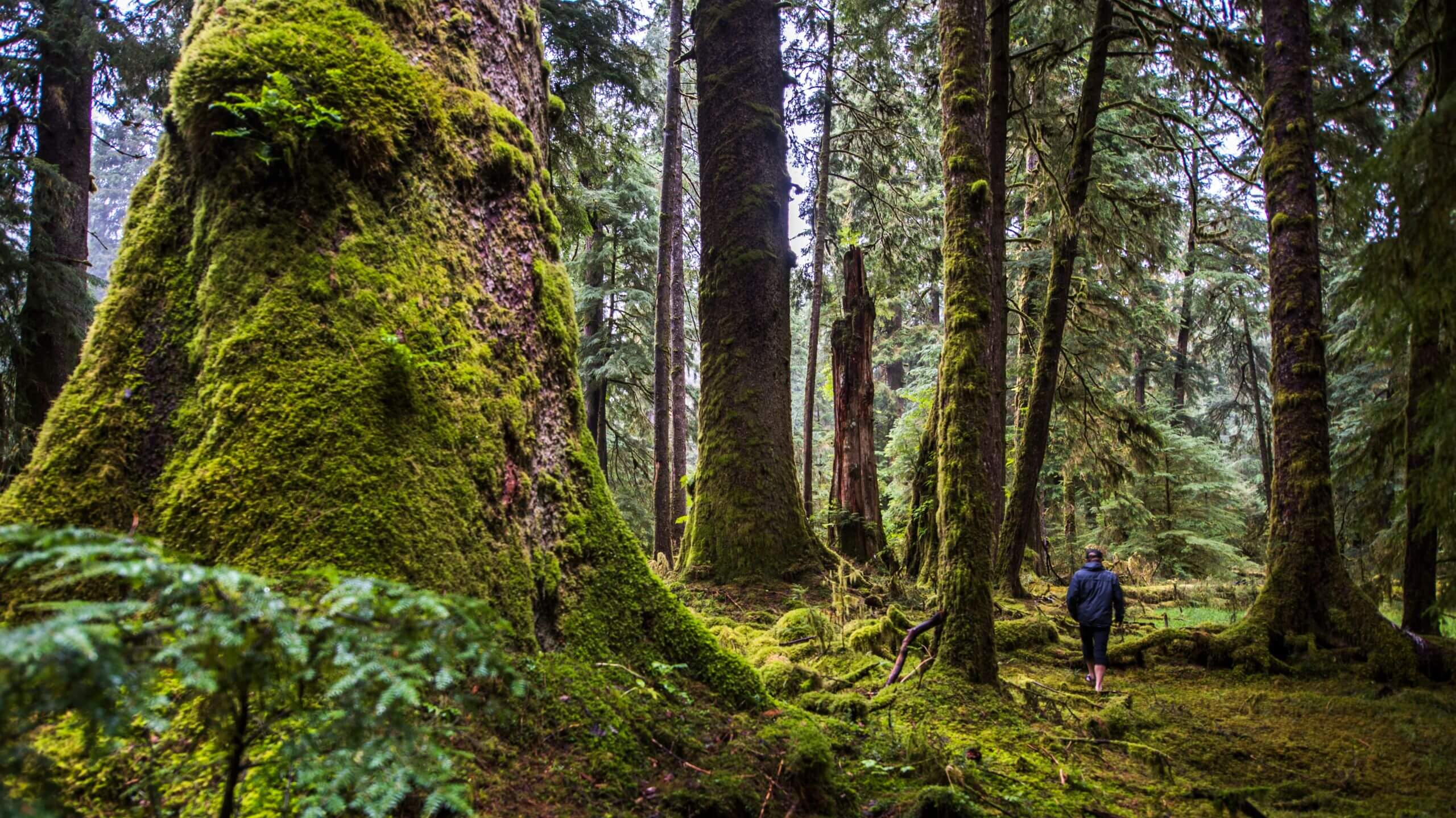 Under the Influence of Nature