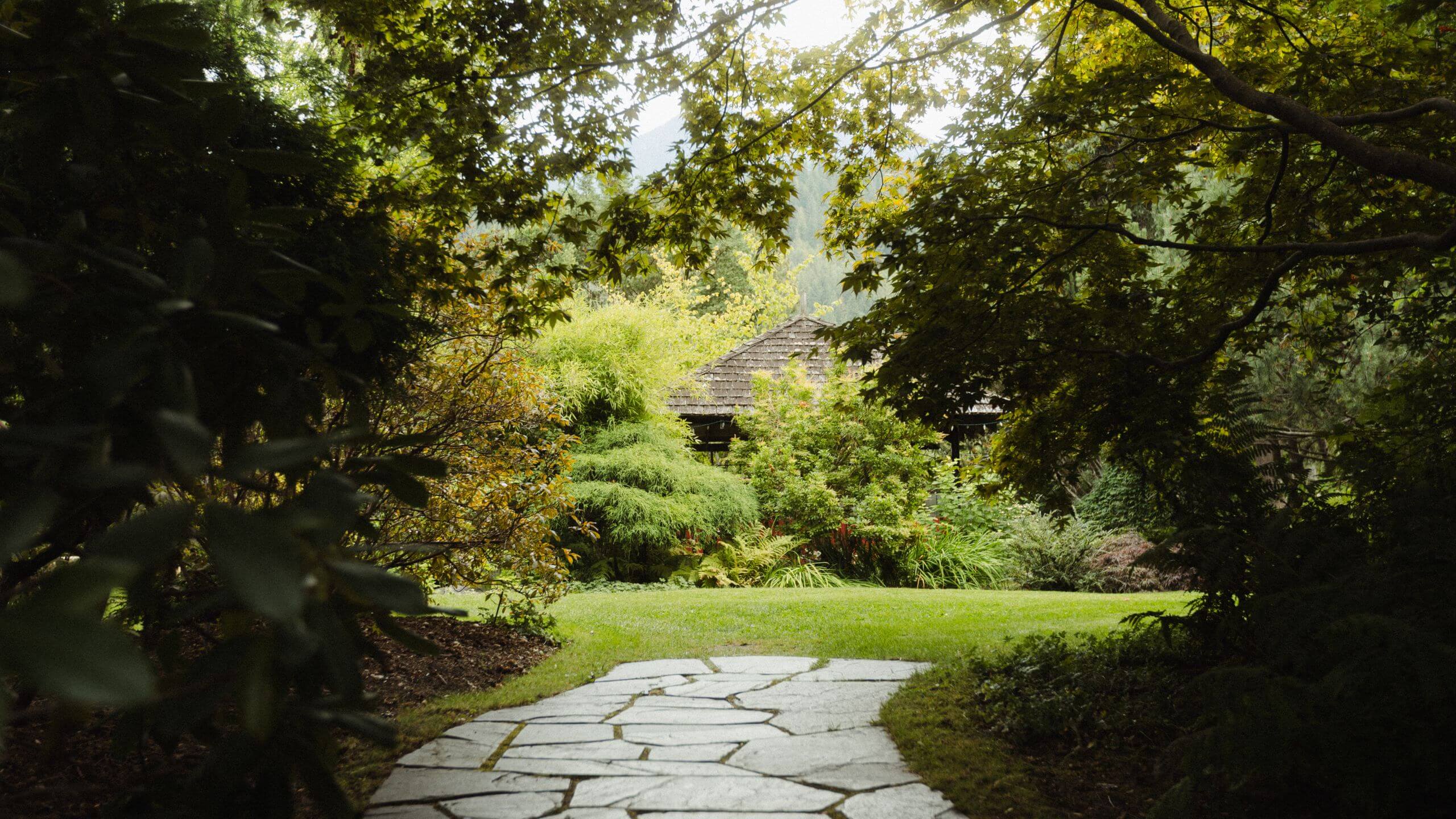 Walking Through History