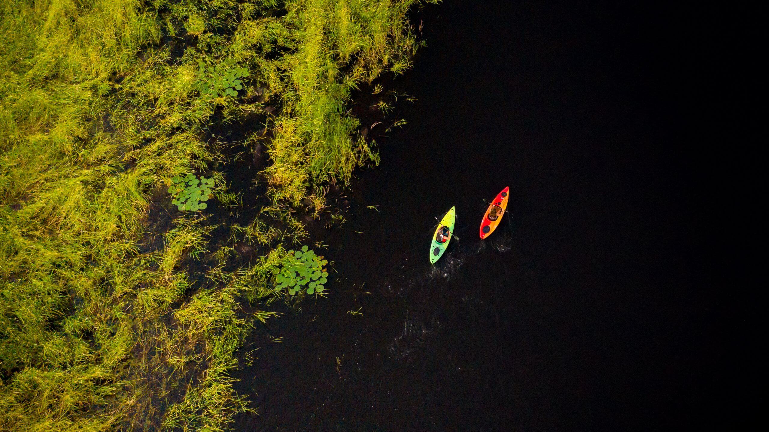 Volume 11 – Spring 2026