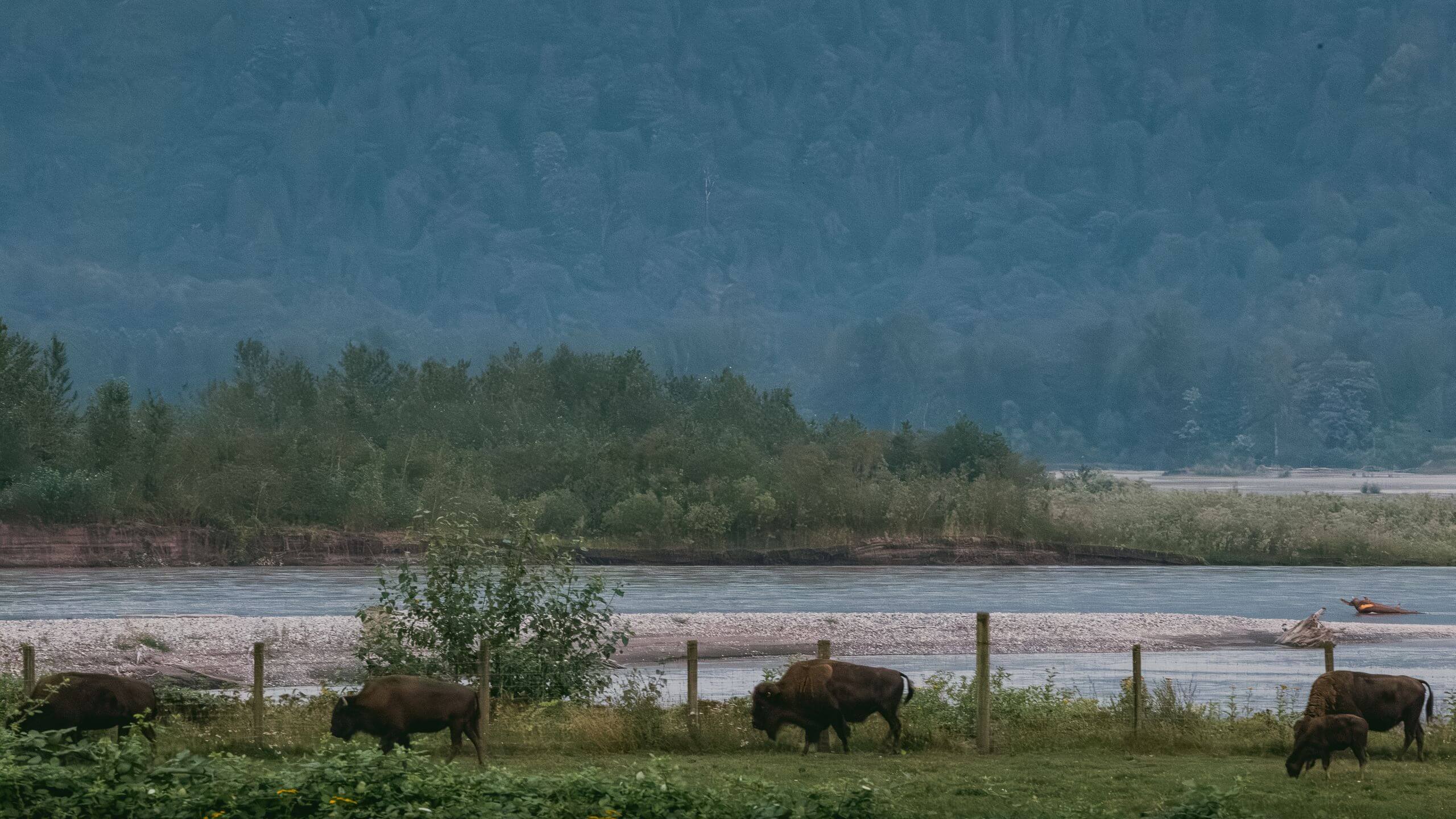 Following the Fraser