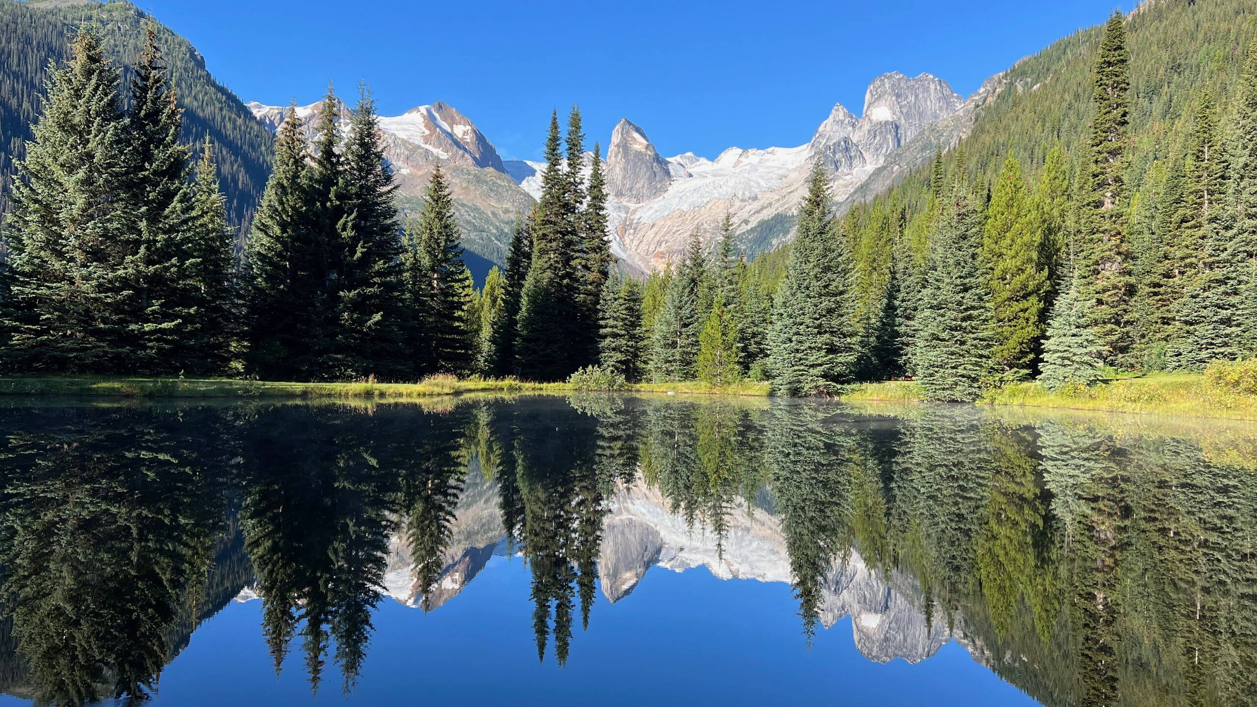 Into the Bugaboos