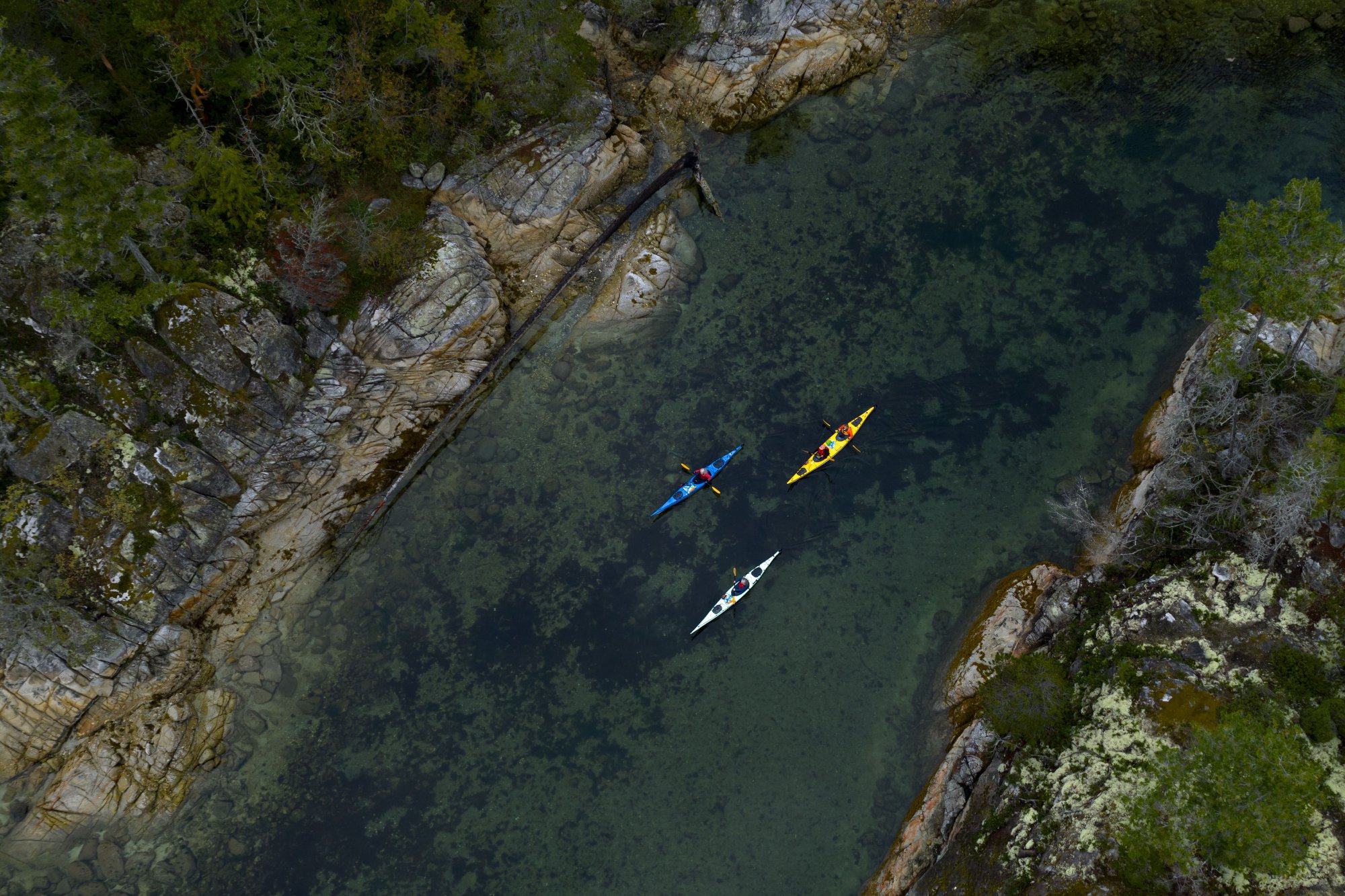 Best Water Adventures in Canada: 5 Unforgettable Ways to Experience the Country